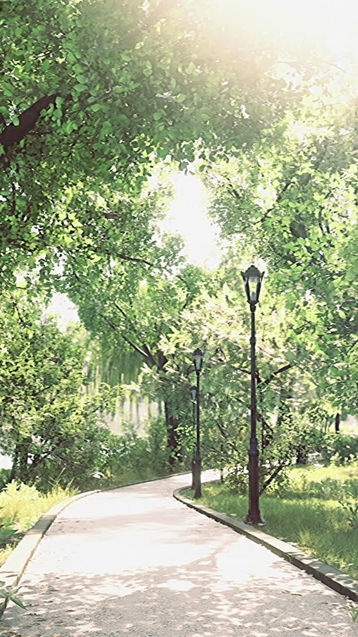 Lush greenery along a peaceful park path invites leisurely strolls in sunlight