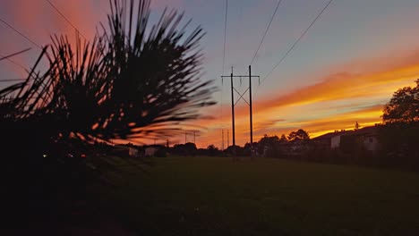 shot from behind a tree branch of a trail with power lines in the background at sunset with beautiful colours in nepean ontario