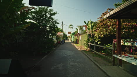 tropical village street scene