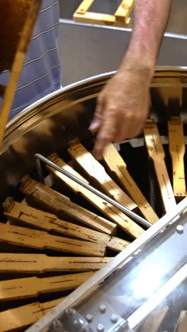 male hands download honey frames into apparatus for extracting honey. harvesting honey at bee farm. close up. vertical video