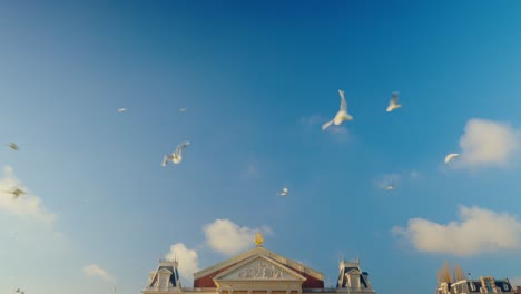 graphic playfull shot of roof concertgebouw amsterdam with seagulls flying