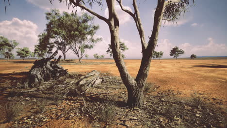 exploring the vast open landscape under a bright sky in a serene environment