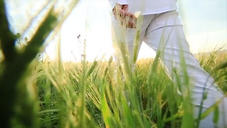 people walking in a wheat field