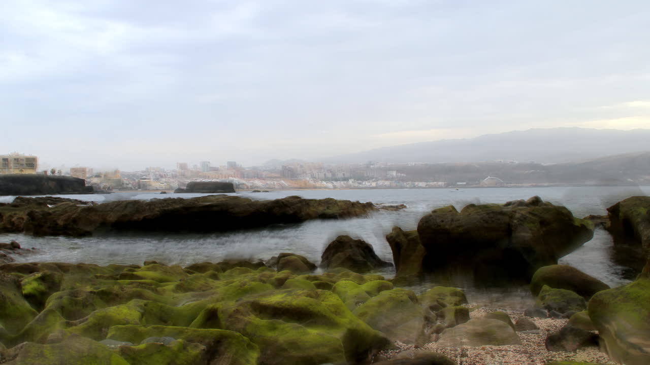 Coastal rocks covered in green moss with calm sea and distant city under soft cloudy sky