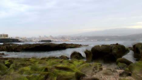 coastal rocks covered in green moss with calm sea and distant city under soft cloudy sky