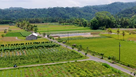 exotic rural landscape of sokorini village on java, indonesia, aerial view