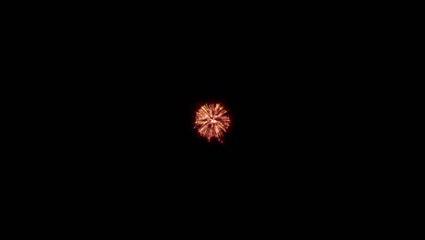 imágenes de bucle de fuegos artificiales con luces brillantes y estrellas, enciende una explosión en un fondo negro