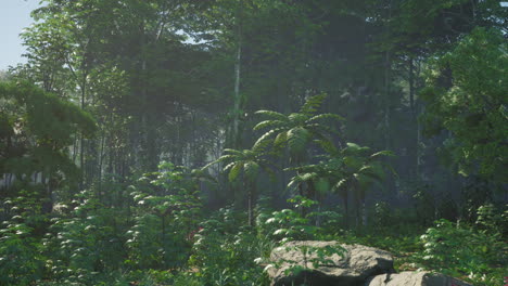 un denso y exuberante bosque tropical