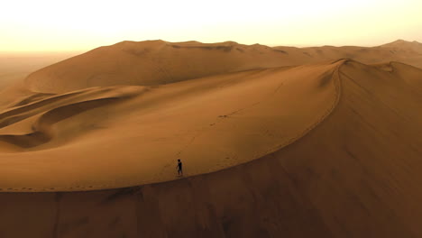 solo en el amanecer del desierto