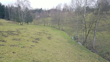 Drohne-Fliegt-An-Bäumen-Auf-Dem-Land-Vorbei