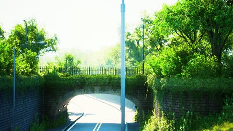 arch-bridge-with-living-bush-branches-in-park