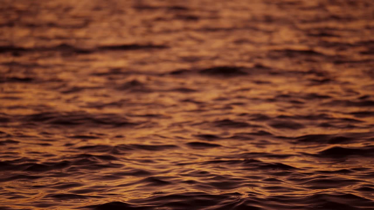 Monohrome video of a beautiful water background.