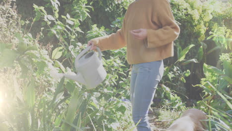 spot of light against caucasian woman watering plants in the garden