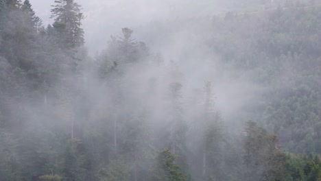 village reveal aerial view among moody mountain forest with telephoto lens 4k
