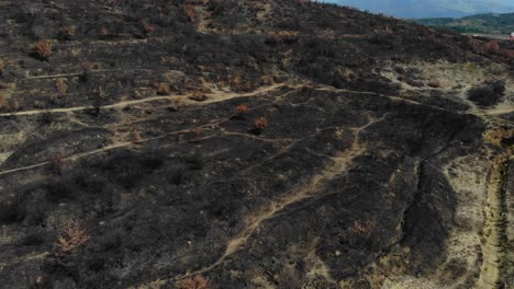 Suelo-Negro-Después-De-Que-El-Fuego-Quemara-árboles-Y-Hierba-En-La-Colina,-Paisaje-Desierto-Después-De-La-Tragedia