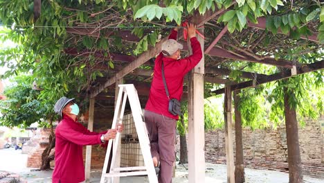 two workers repairing a wooden pergola