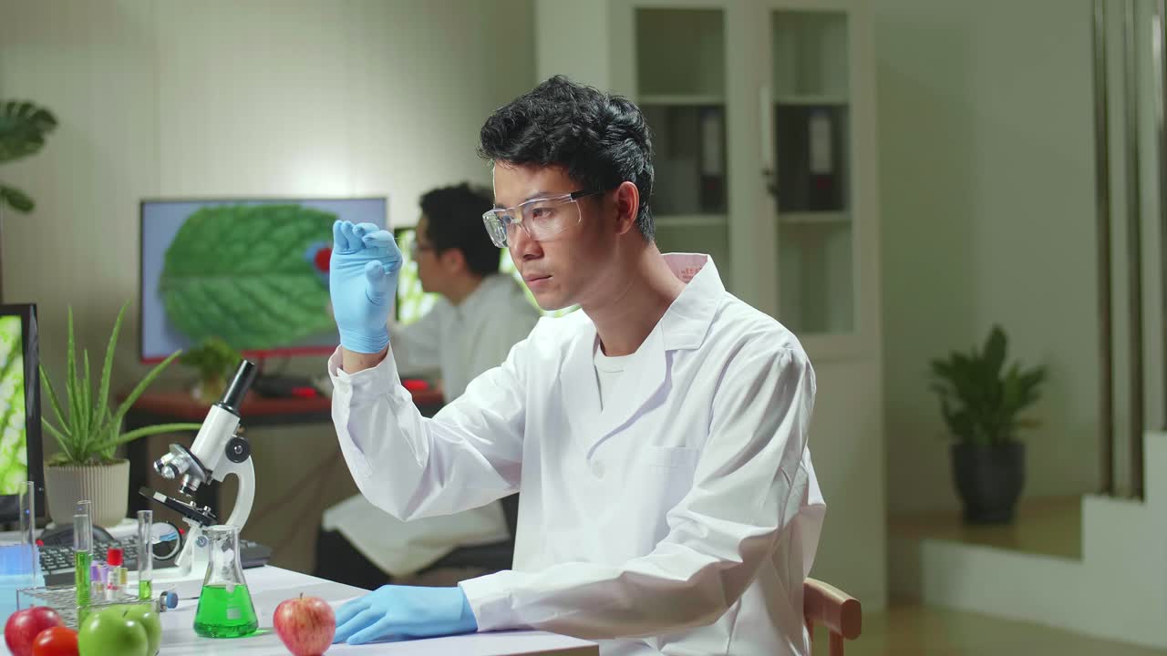 Asian Scientist Man Looking At Test Sample Of Leaf Analyzing For Biological Experiment With Organic Plants. Biologist Specialist Discovering Organic Gmo Plants While Working In