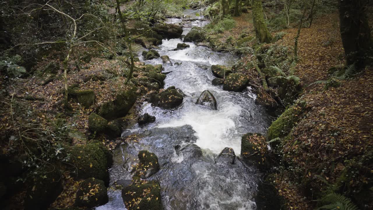 River Kennall Running Through Kennall Vale Woodland In Cornwall, England, UK - high angle