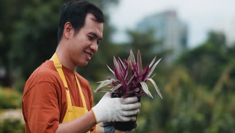 gardener holding plant pot