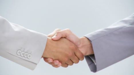 businesspeople closing a deal by handshake