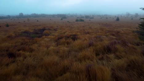 Misty-day-above-meadow-flatlands-of-Europe,-aerial-drone-fly-backward-view