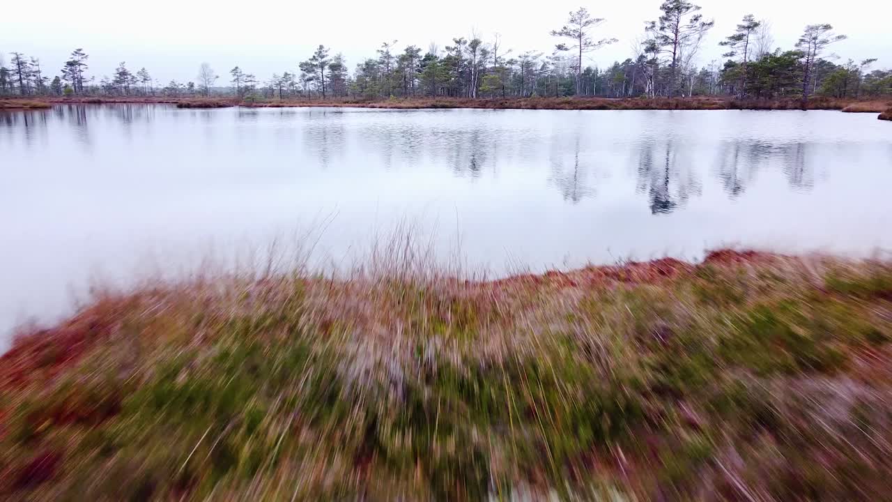 Aerial view of Dunika peat bog with small ponds in overcast autumn day, wide low altitude drone shot moving forward