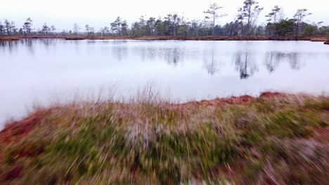 Aerial-view-of-Dunika-peat-bog-with-small-ponds-in-overcast-autumn-day,-wide-low-altitude-drone-shot-moving-forward