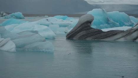 Glaciares-Flotando-En-Una-Laguna-Glaciar,-Islandia,-Con-Focas-Nadando-Y-Apareciendo-En-El-Agua,-Y-Gaviotas-Volando-Por-Encima,-Moviéndose-Hacia-La-Playa-De-Diamantes.