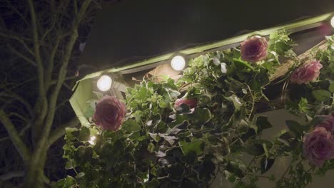 vibrant pink roses and greenery illuminated by soft lights in a parisian night setting
