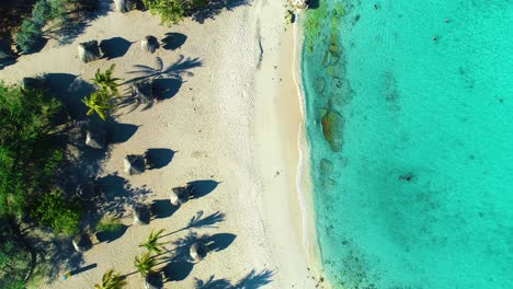 rising aerial reveals exclusive sandy beach with bungalow umbrellas and palapas, calm ocean waves clear water on daaibooi beach in curacao