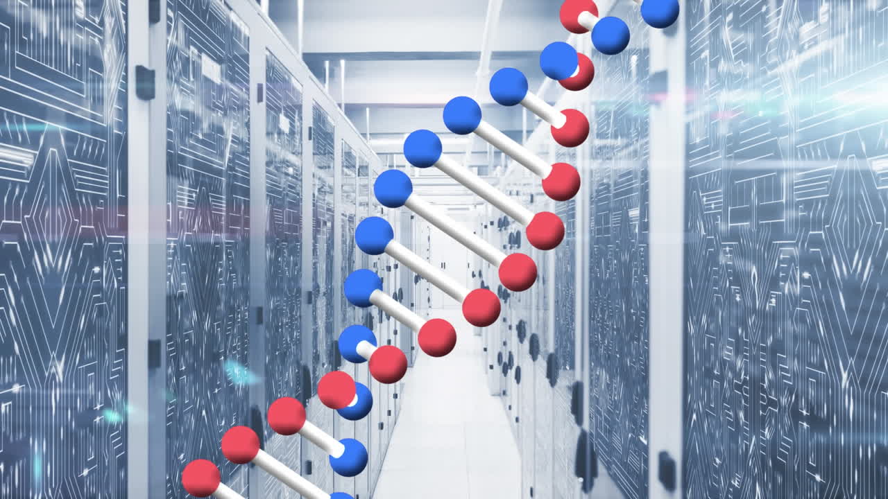 컴퓨터 서버를 통해 dna  ⁇ 의 애니메이션과 데이터 처리