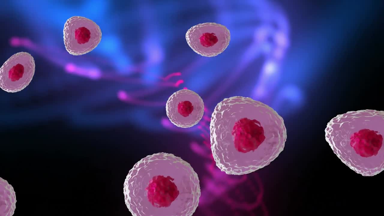 분홍색과 보라색 배경 위에 빨간색과 분홍색 세포의 마이크로의 애니메이션