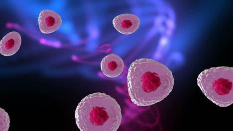 animation of micro of red and pink cells over pink and purple background