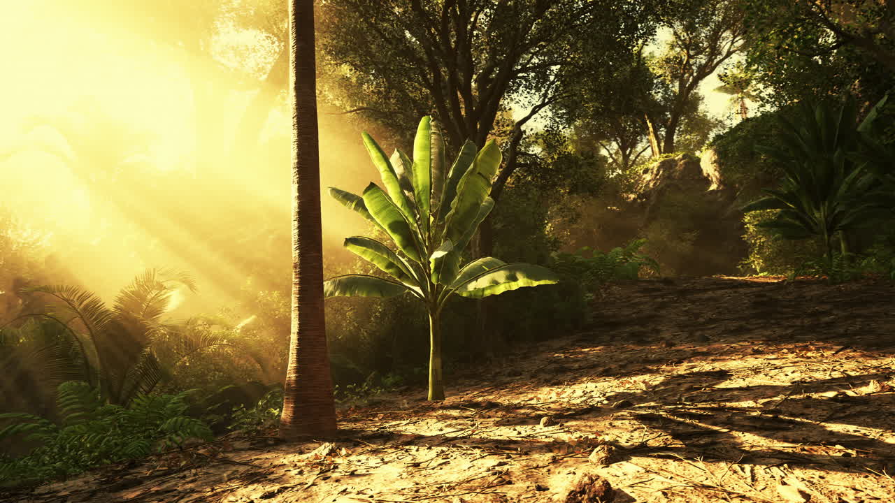 la luz del sol fluye a través de los árboles en un vibrante paisaje de la selva