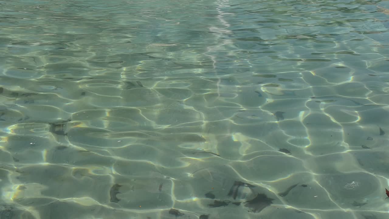 Water in a swimming