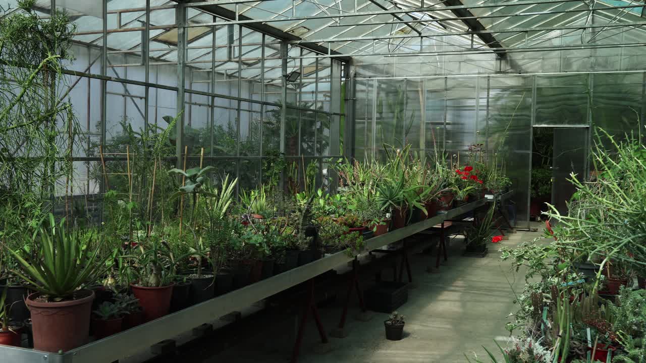 vista más amplia y movimiento de la cámara lateral derecha desde otra parte del jardín botánico con muchas plantas