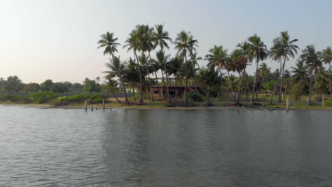 vista aérea en movimiento hacia atrás de la aldea costera y las aves que vuelan sobre el mar y las palmeras, que representan una vista natural serena