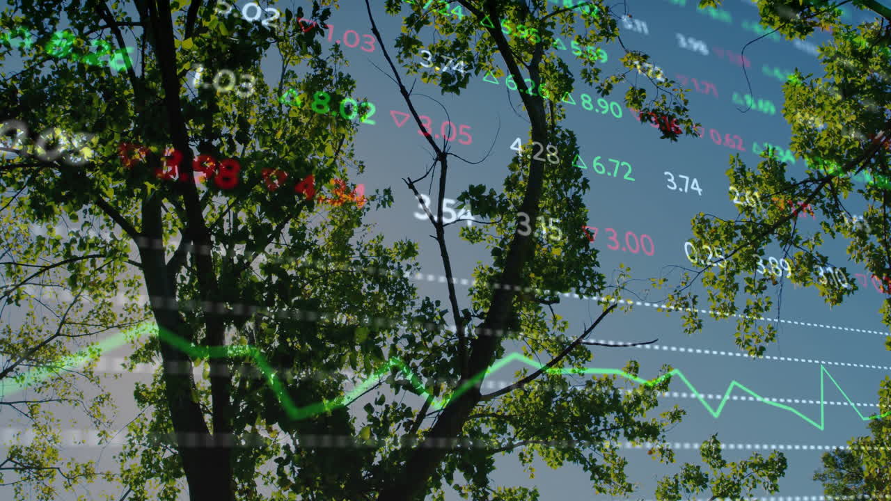 Animation of stock market data overlaying tree branches under clear blue sky