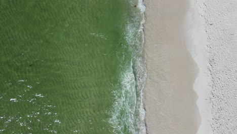 escaping the world concept - tropical sandy beach on florida gulf coast - aerial drone overhead birds eye view