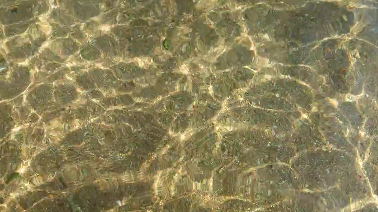 Golden Sunlight Shimmering on Clear Shallow Ocean Water