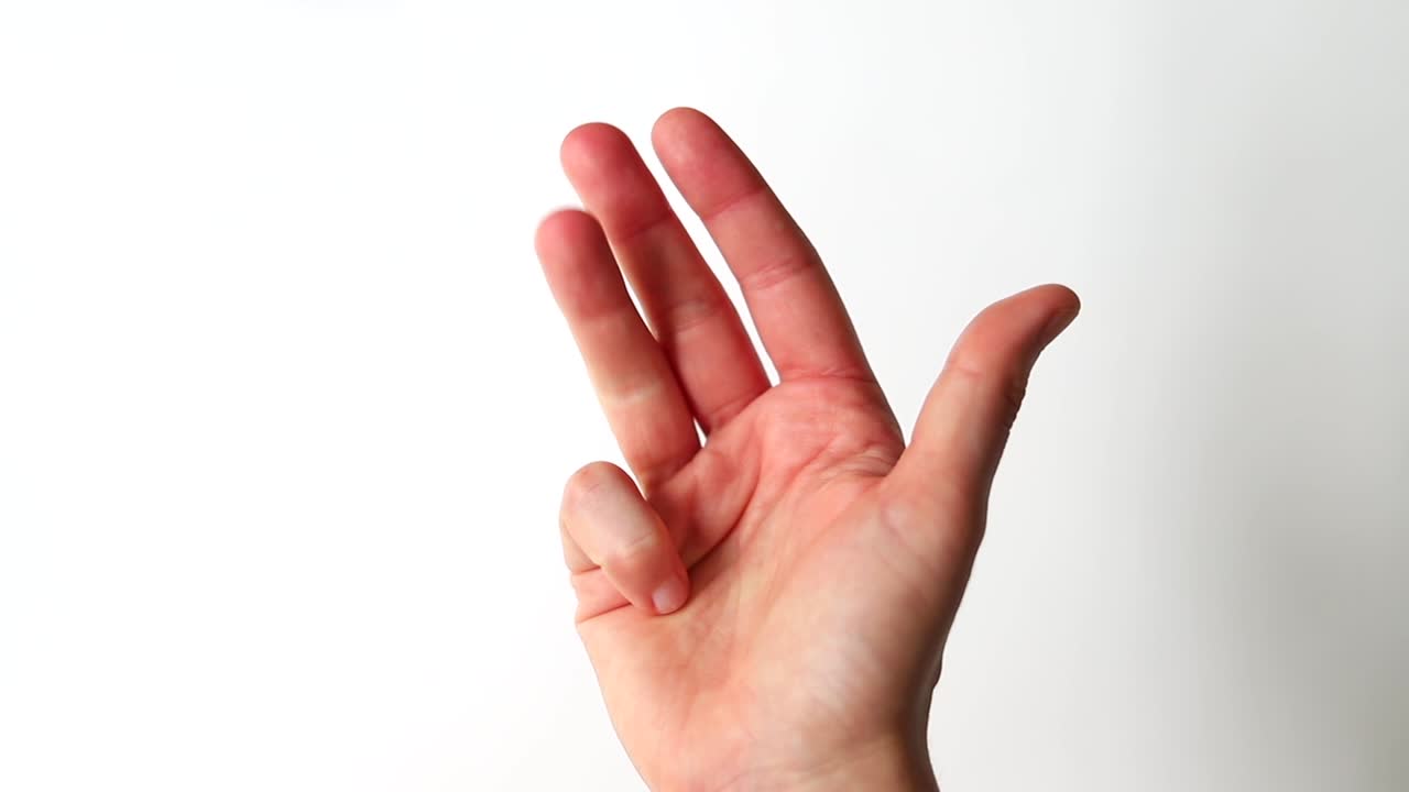 다섯 손가락으로 세는 것