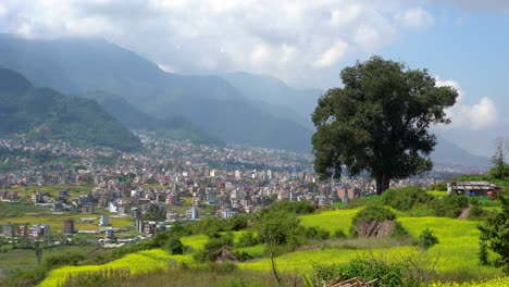 una hermosa vista de los campos de mostaza de color amarillo brillante con una ciudad y las estribaciones del himalaya en el fondo