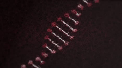 animación digital de la estructura del adn girando contra un fondo negro