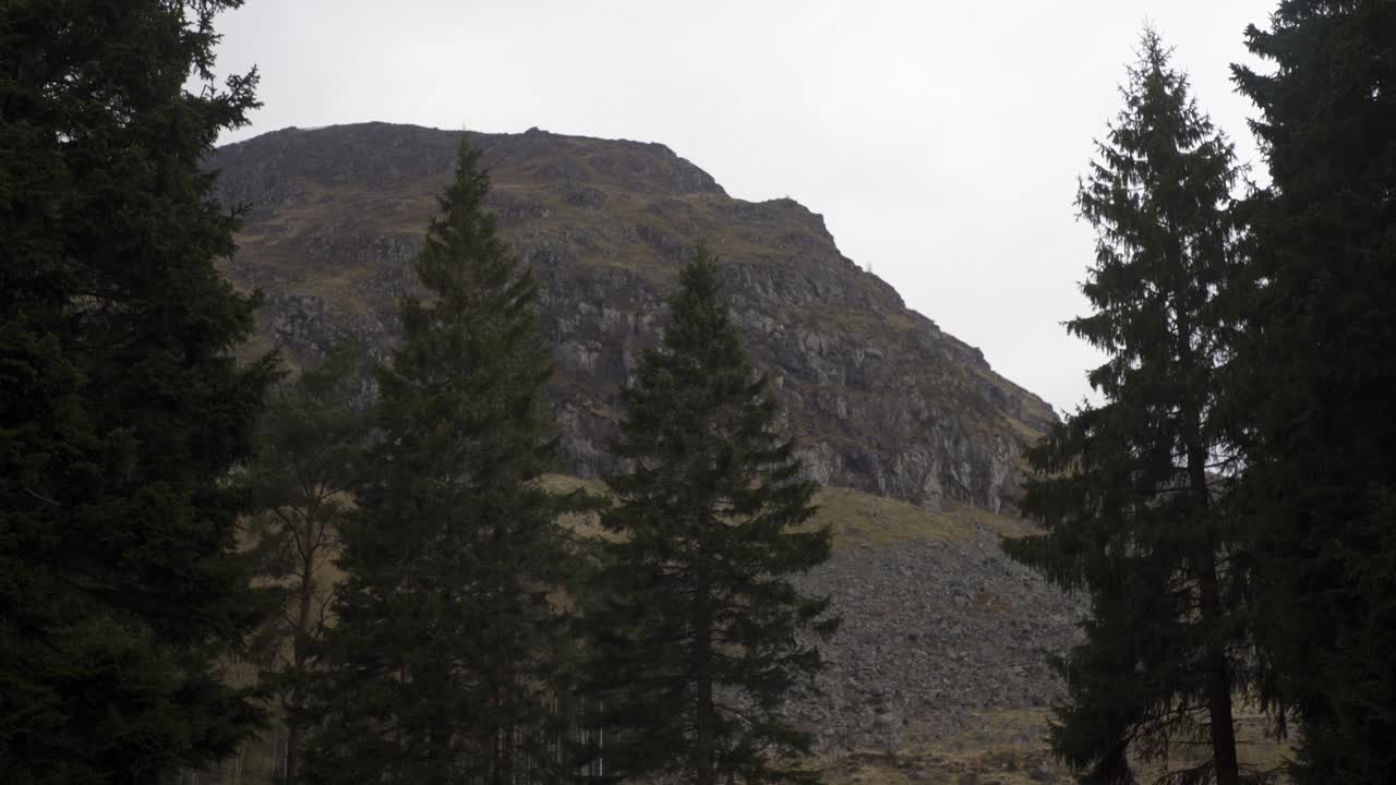 disparo estático de pinos soplando en el viento con una montaña de páramo en los valles y colinas alrededor de glasgow en la distancia