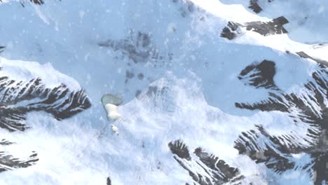 osos polares en un paisaje montañoso nevado