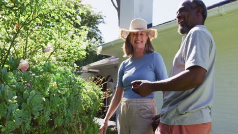 pareja mayor diversa en su jardín mirando plantas y hablando en el sol
