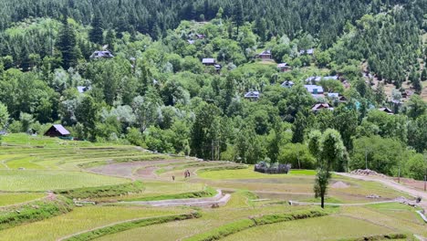 beauty of rural india and farmers land, nature beauty, hills, green fields with village life in forest area and timeless travel escapes