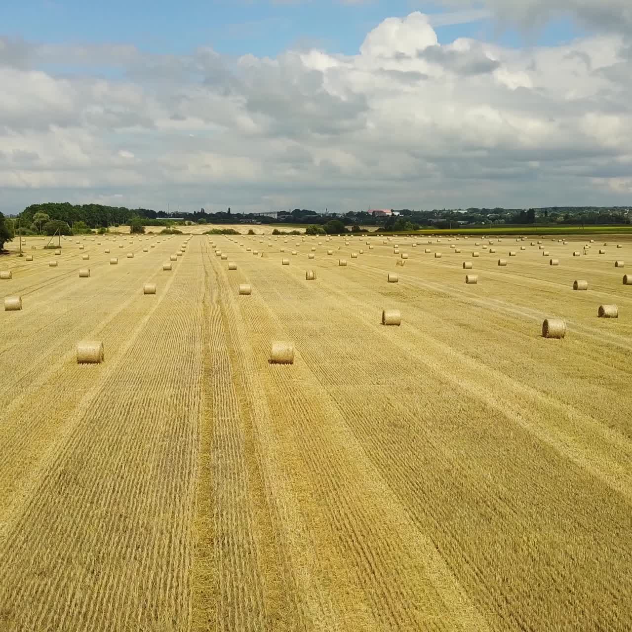 들판의 건초 뭉치