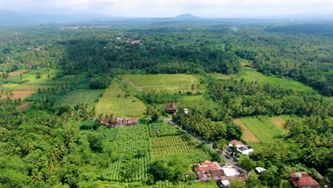 Idyllic-lush-green-landscape-of-Muntilan-village-on-Java,-Indonesia,-aerial-view