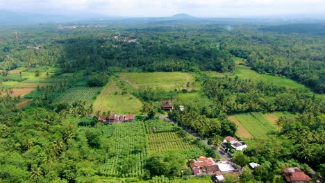 Idílico-Y-Exuberante-Paisaje-Verde-Del-Pueblo-De-Muntilan-En-Java,-Indonesia,-Vista-Aérea